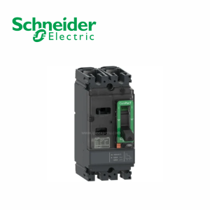 Interruptor termomagnético fijo 2x40A 36/18/15kA 220/380/440V NSX100F SCHNEIDER ELECTRIC
