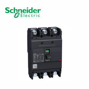 Interruptor termomagnético fijo 3x250A 50/25/20kA 240/380/440V SCHNEIDER ELECTRIC